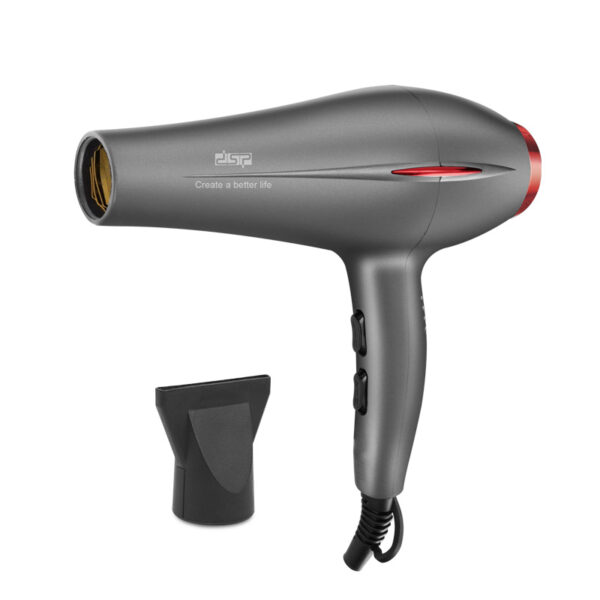 DSP Hair Dryer