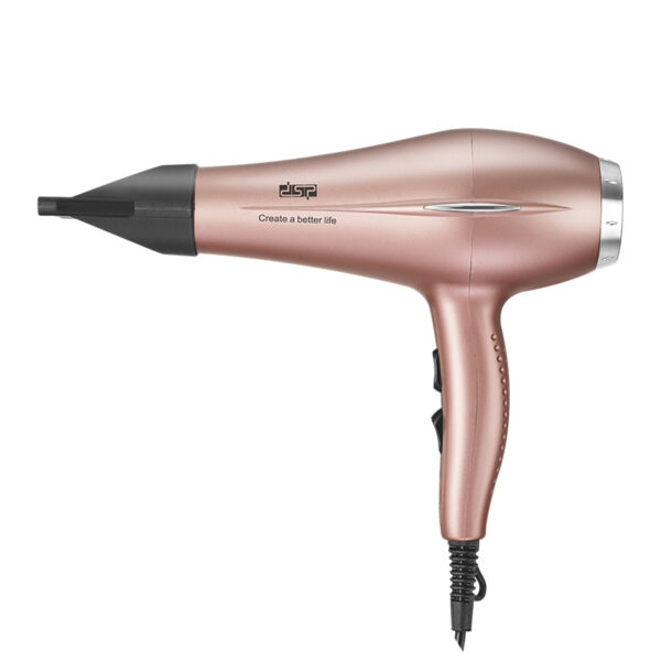 DSP Hair Dryer