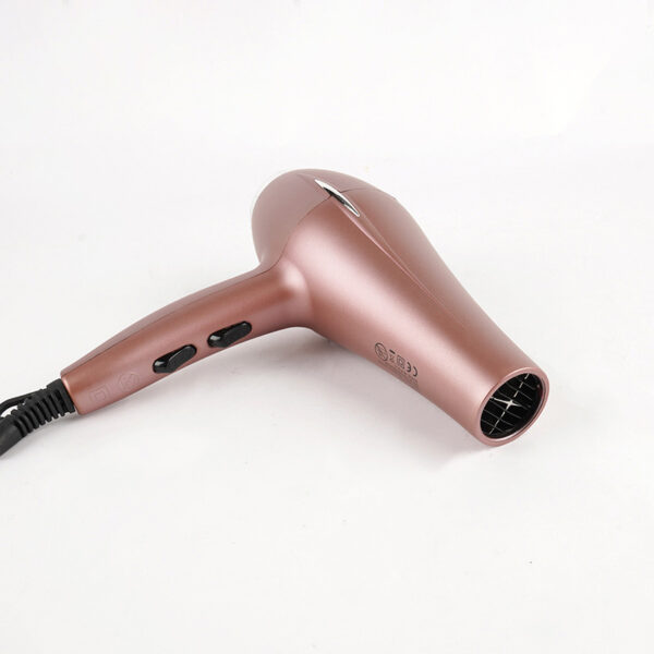 DSP Hair Dryer - Image 2