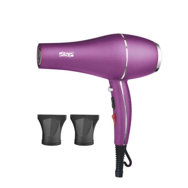 DSP Hair Dryer